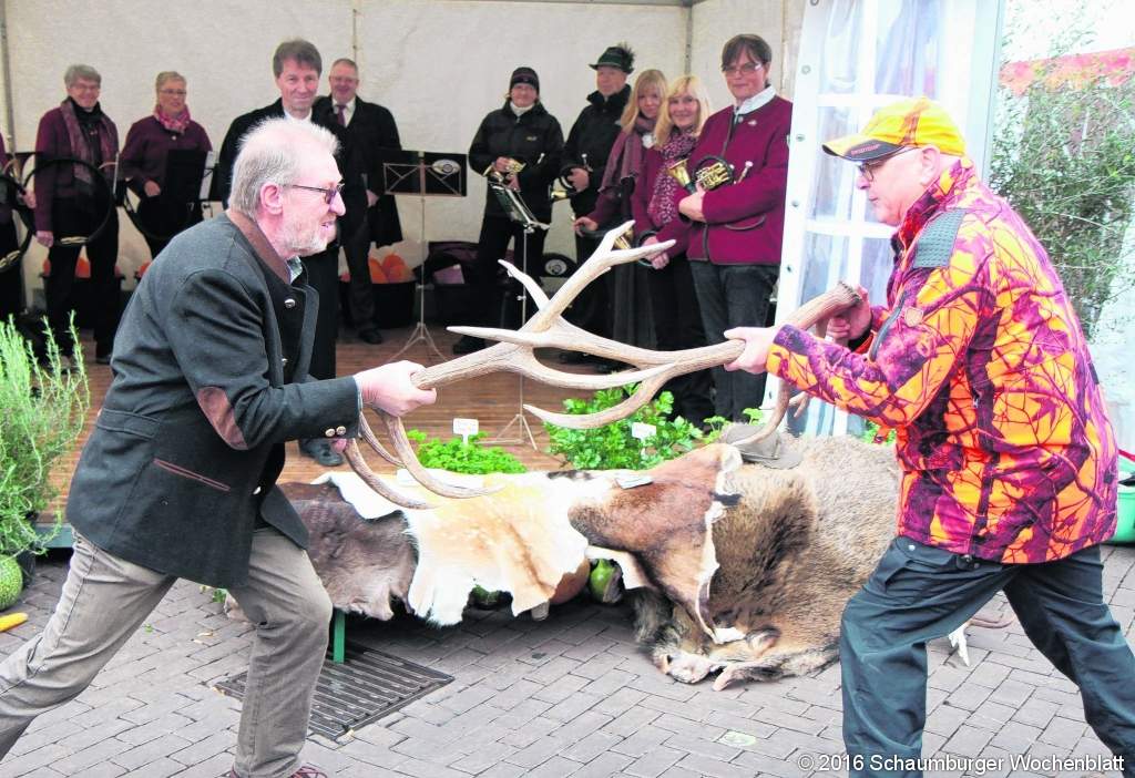 Schaumburger Wochenblatt Startschuss für 13 Schaumburger