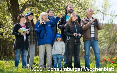 NABU: Vögel zählen ab Vatertag