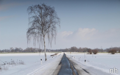 Mögliche Einschränkungen bei Verteilung