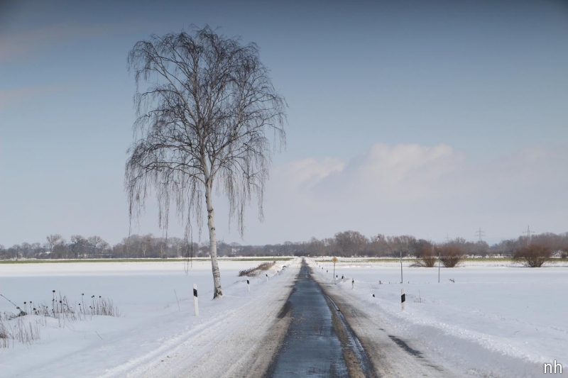 ©2021 Schaumburger Wochenblatt