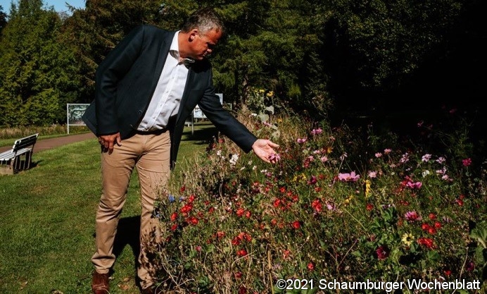 Mike Schmidt begutachtet einen Blühstreifen im Kurpark. In der Samtgemeinde wurden in den letzten Jahren bereits über 18.000qm davon angelegt.
