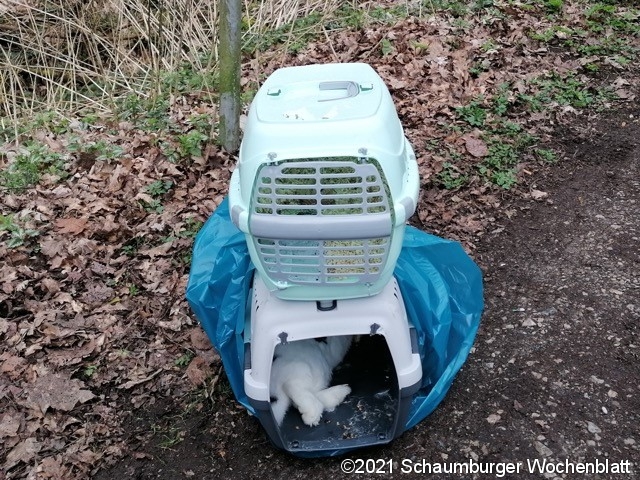 Zwei im April gefundene Kaninchen wurden offenbar brutal getötet. Das Veterinäramt des Landkreises hofft auf Hinweise, die bei der Ermittlung des Tierquälers helfen.