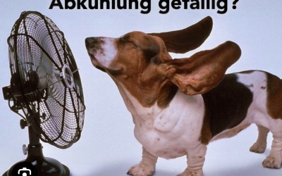 Hitzeschutz