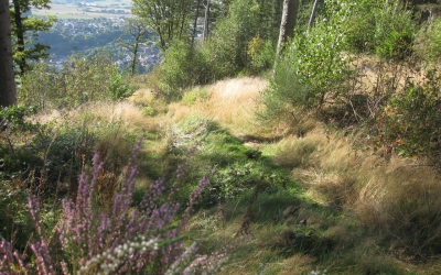  Sagenhafte Landsommer - Wanderungen