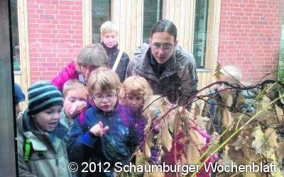 Schulkindergarten erkundet Wildtierstation