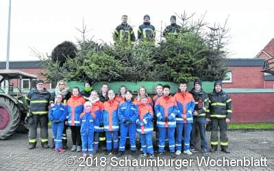 Erste Jugendfeuerwehren sammeln Tannenbäume ein