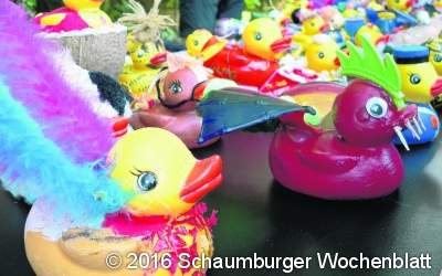 Bald schwimmen Enten auf dem Apelerner Riesbach