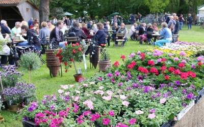 Größter Pflanzenmarkt in Schaumburg und der Region