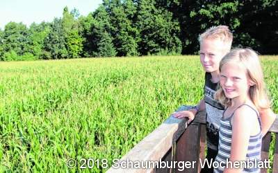 Den richtigen Weg durchs Labyrinth finden