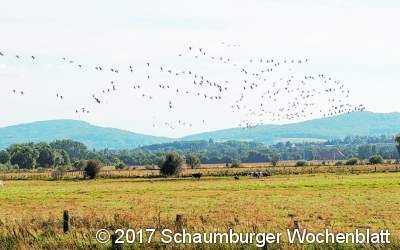 Niederung soll den Trassenneubau verhindern