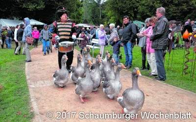 Zwischen Treckern, Tieren und Trachten