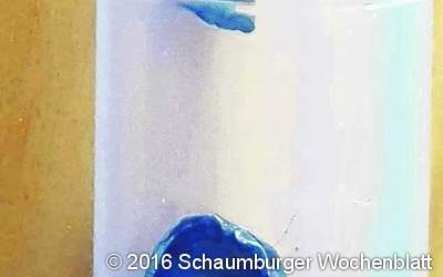 Unbekannter schießt auf eine Katze