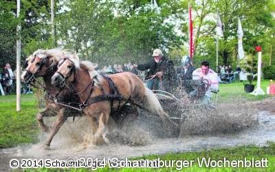 Mit Pferdestärken ab durchs Wasserhindernis