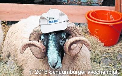 Bunte Vielfalt aus der Region