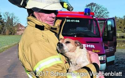 Kleiner Terrier steckt  in Wasserröhre fest