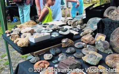 Fast die ganze Welt im alten Schloss