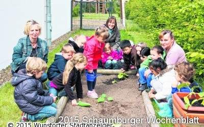 In welchem Kindergarten der  Region wächst der dickste Kürbis?