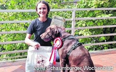 Hundesportler holen sich den Sieg