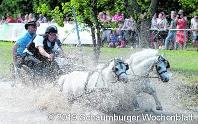 Hohe Sprünge und anmutige Bewegungen