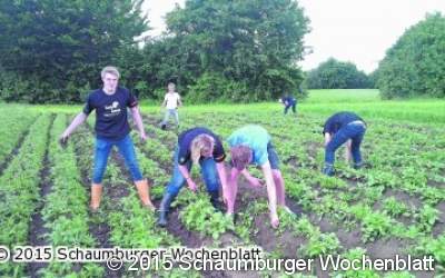 Treckerclub rackert mit Schülern auf dem Acker