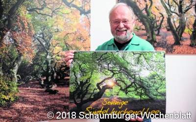 Süntelbuchen facettenreich erleben