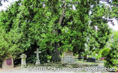 Große Äste fallen auf Friedhofsweg