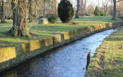 Artenvielfalt und Hochwasserschutz fördern