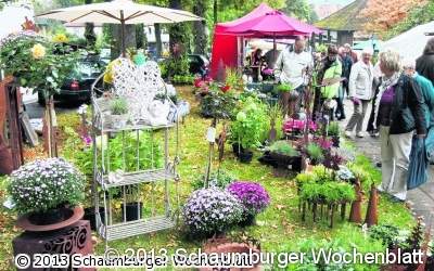 Bei milden Herbsttemperaturen über den Bauernmarkt bummeln