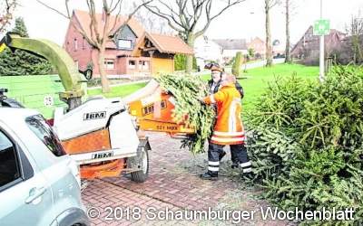 Jugendfeuerwehr sammelt Tannenbäume ein