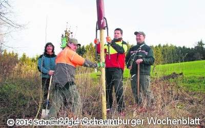 Obstbäume für den Natur- und Klimaschutz