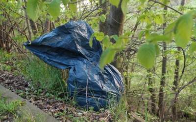 Müll schnellstmöglich beseitigen