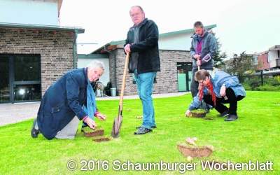 ﻿In die Erde kommen etwa 200 Blumenzwiebeln