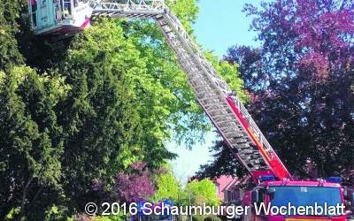 Feuerwehr hat viel zu tun