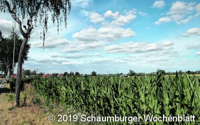 Alle Bürger sollen und dürfen mitmachen