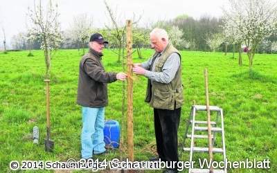 Die alten Obstsorten bewahren