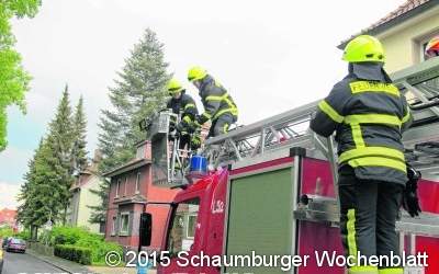 Feuerwehr rettet Katze vor Krähen