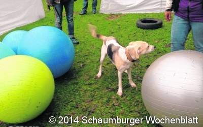 Bunter Nachmittag ein voller Erfolg