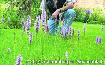 Seltene Blumen im Garten