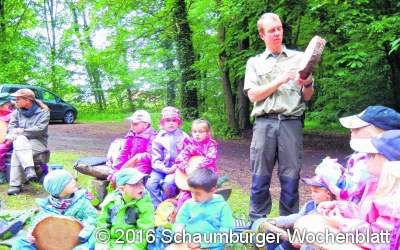 Schatzinselkinder erleben Waldwoche