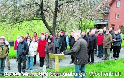 750 Kirschbäume stehen in voller Blüte