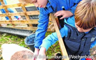 Der Herbst präsentiert sich wieder tierisch bunt