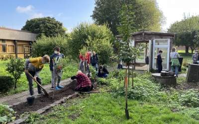 Schulgarten wird umgestaltet