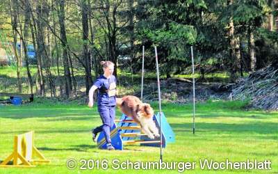 Laufspaß mit dem Hund