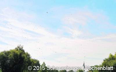 Staubteufel heben Heu in den Himmel