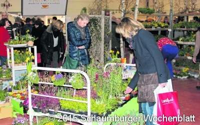 Frühlingsfrisches für Heim und Garten