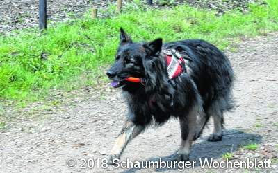 Gute Spürnasen gesucht