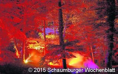 Licht und Klang im Kurpark