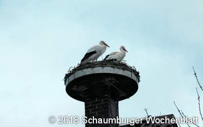 Die Brutsaison kann beginnen