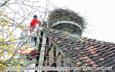 Störche sollen schmuckes Nest vorfinden