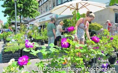 Frisch, lecker, aus der Region